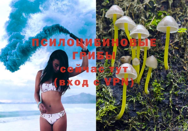 прущие крисы Белокуриха