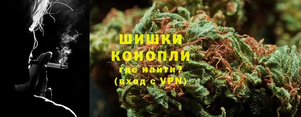 дживик Майский